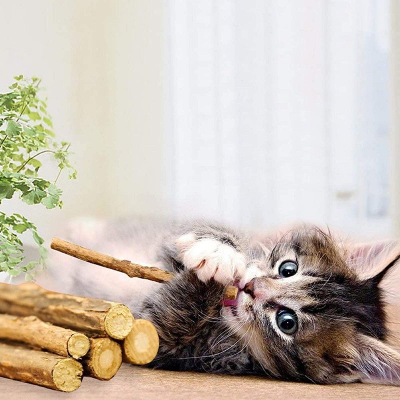WoLover Silvervine Sticks for Cats, Natural Catnip Matatabi Chew Sticks Teeth Molar Chew Toys for Cat Kitten Kitty (25 PCS) - Image 2